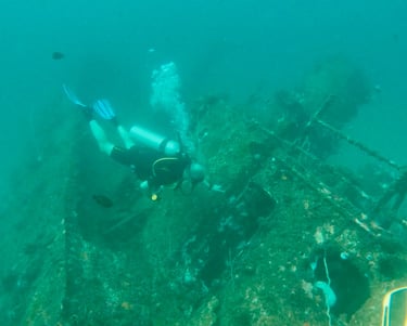 A scuba diver explores a rusted shipwreck on the ocean floor surrounded by marine life.