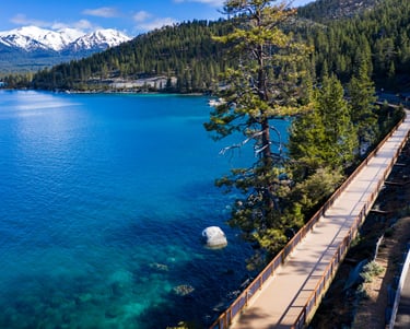 top dog friendly beaches north lake tahoe