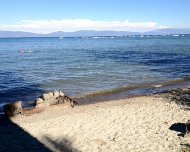 top dog friendly beaches north lake tahoe