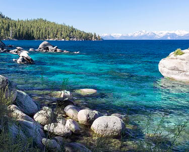 top dog friendly beaches north lake tahoe