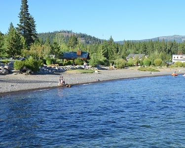 top dog friendly beaches north lake tahoe