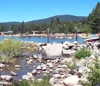 top dog friendly beaches north lake tahoe