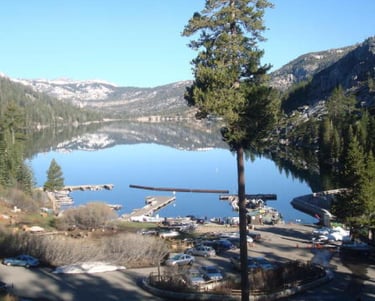 top dog friendly beaches north lake tahoe