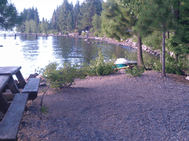 top dog friendly beaches north lake tahoe