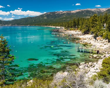 Top dog friendly beaches north lake tahoe