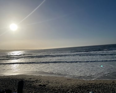 casa munras dog friendly monterey ca