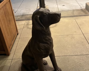 casa munras dog friendly monterey ca