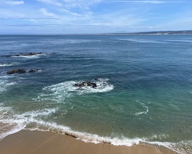 dog friendly travel monterey california