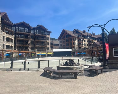 dog friendly travel northstar lake tahoe