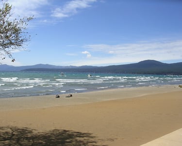 top dog friendly beaches north lake tahoe