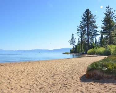 top dog friendly beaches north lake tahoe