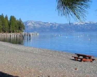 top dog friendly beaches north lake tahoe