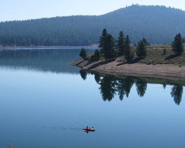 top dog friendly beaches north lake tahoe