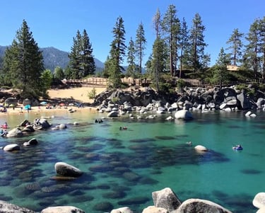 top dog friendly beaches north lake tahoe