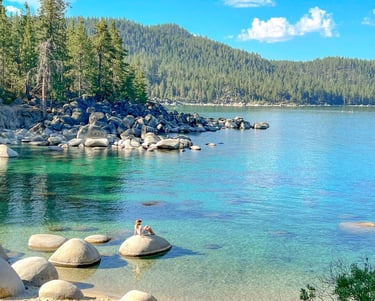 top dog friendly beaches north lake tahoe