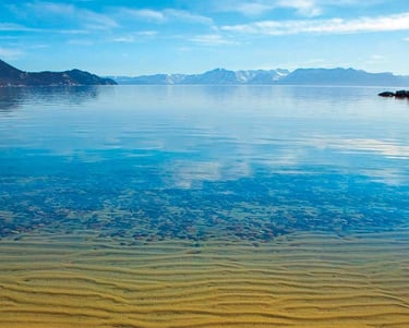 top dog friendly beaches north lake tahoe
