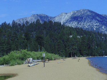top dog friendly beaches north lake tahoe