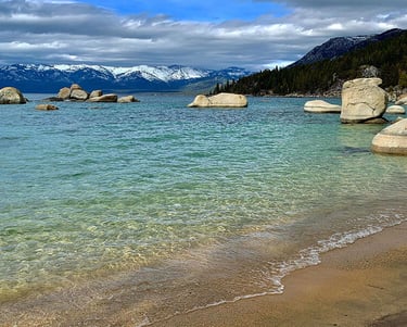 top dog friendly beaches north lake tahoe