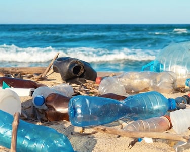 Plastic Waste on Beach