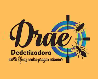 Marketing Digital em Brasília com GMN