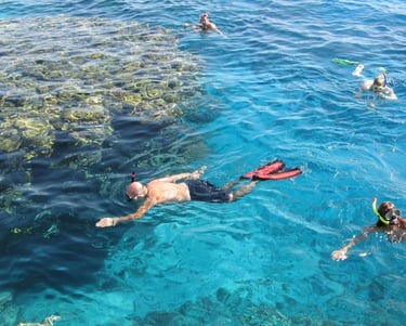 shore-snorkeling-marsa-alam-red-sea