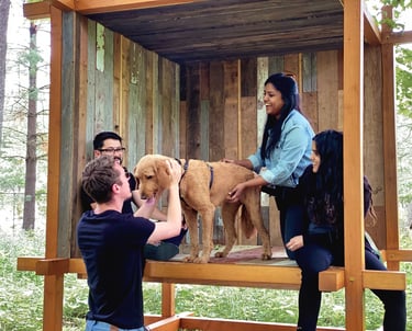 A photo of people and a dog laughing inside a wood pavilion