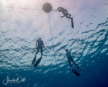 Freediving on Curacao