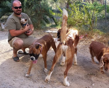 Guardería de día para perros