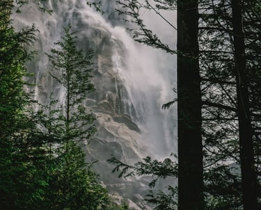 Naturlig natur: et fossefall i skogen.