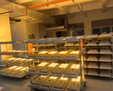LED lights aging Test