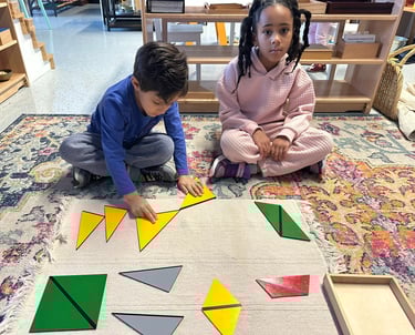 Montessori Activity
