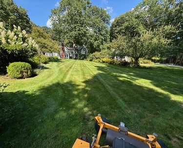 lawn-maintenance-in-north-shore-residential-yard