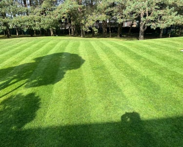 Gražiai įrengta veja