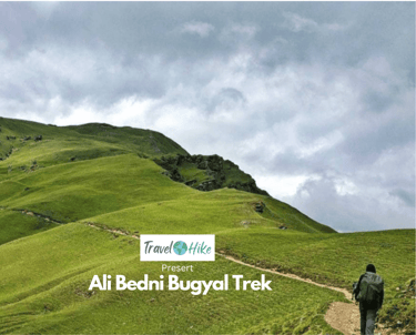 Trekkers scaling the lush trails of the Himalayas.