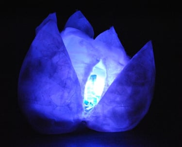 cocoon installation