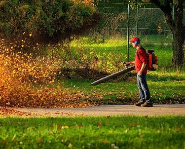 guy blowing leaves
