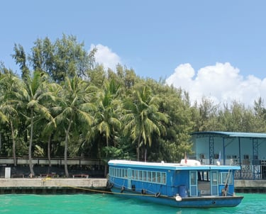 maldives palmiers eau