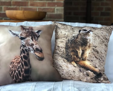 a pair of animal print cushions featuring a giraffe and a meerkat