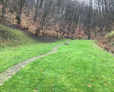 idealiai sutvarkytas kiemas nuo didelio kiekio lapų