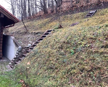 sugrėbti lapai nuo aukšto šlaito