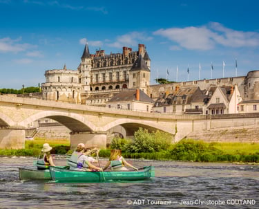 Vue sur le château d'Amboise depuis la Loire
