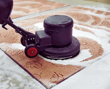 Entretien des moquettes à bruxelles