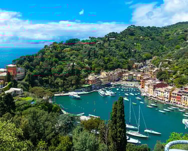 Portofino Arial with water with boats and buildings next to ocean