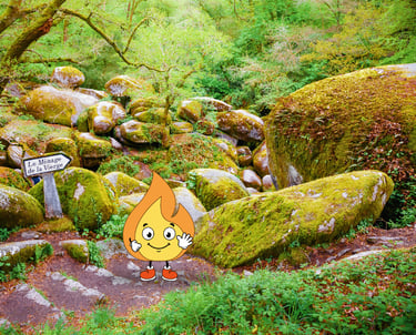 Maxima la flamme de MaxThomasBois présente et fais coucou pour dire qu'il y a du bois en Bretagne