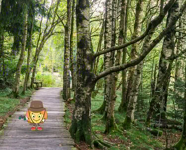 Maxima la flamme orange est à l'aventur pour vendre du bois de chauffage MaxThomasBois