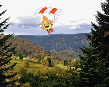 Flamme logo de MaxThomasBois qui fait du parachute pour livrer tout le bois de chauffageen Grand Est