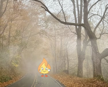 Logo de MaxThomasBois la petite flamme Maxima fais coucou dans la fôret