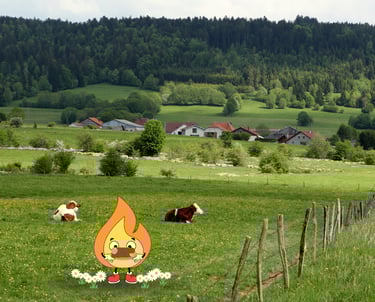 Maxima la petite flamme de MaxThomaBois est en Normandie pour livrer du bois de chauffage 