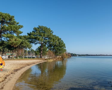 Maxima logo de MaxThomasBois et mascotte bronze en nouvelle aquitaine