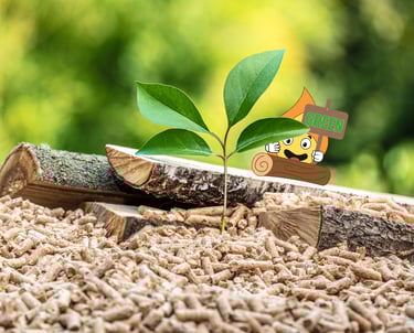 Maxima flamme logo orange de MaxThomasBois montre un panneau ecrit green pour le bois de chauffage